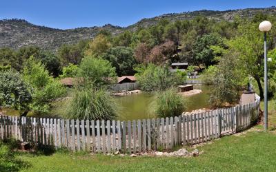 Complejo Turístico Los Enebros - Piscina