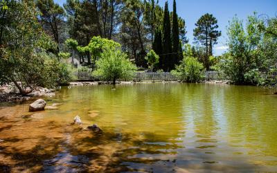 Complejo Turístico Los Enebros - Piscina