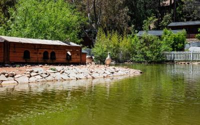 Complejo Turístico Los Enebros - Piscina