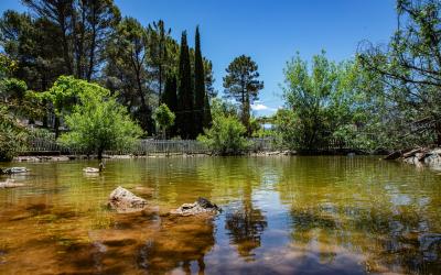 Complejo Turístico Los Enebros - Piscina