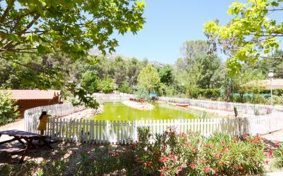 Complejo Turístico Los Enebros - Piscina