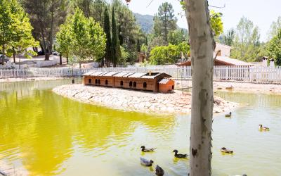 Complejo Turístico Los Enebros - Piscina