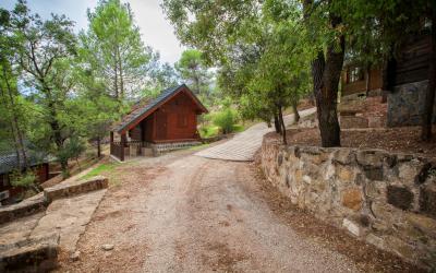 Complejo Turístico Los Enebros - Cabaña